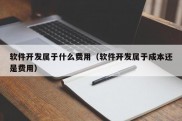 软件开发属于什么费用（软件开发属于成本还是费用）